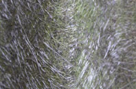 Manmoel fibreglass roof work